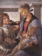 Our Lady of the Son and the Angels, Sandro Botticelli